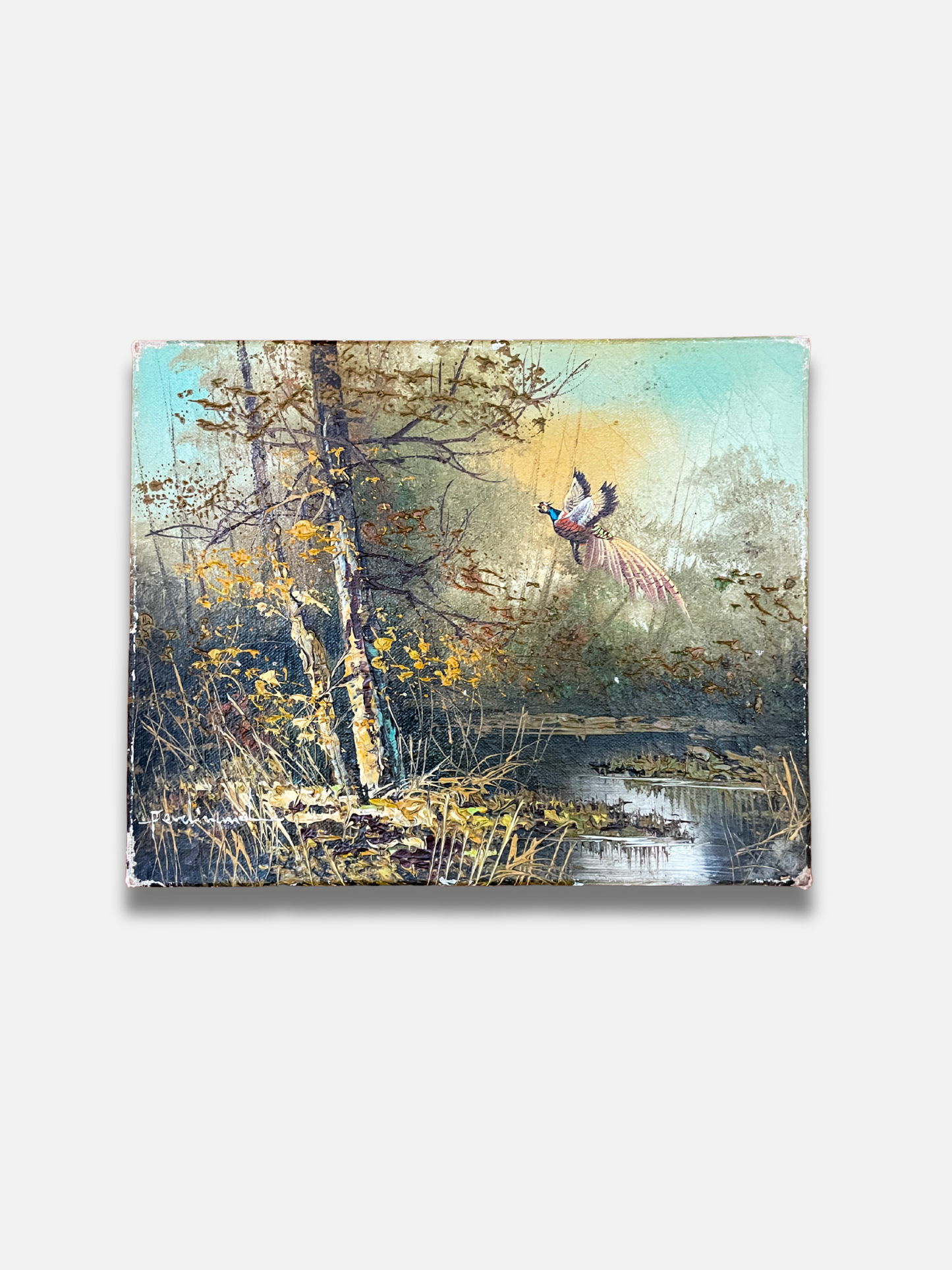 Forest Scene with Pheasant